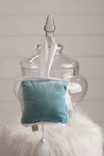 Load image into Gallery viewer, Music Pillow