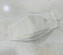 Load image into Gallery viewer, Kids Elegant Face cloth mask + filter