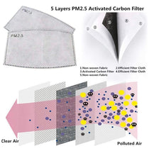 Load image into Gallery viewer, Replacement PM 2.5 Filter Pack [set of 5]
