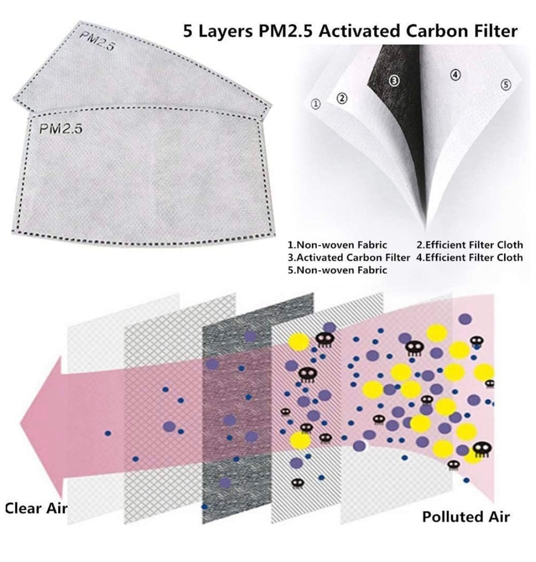 Replacement PM 2.5 Filter Pack [set of 5]